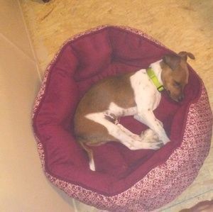 Meet your Posher, Latoya